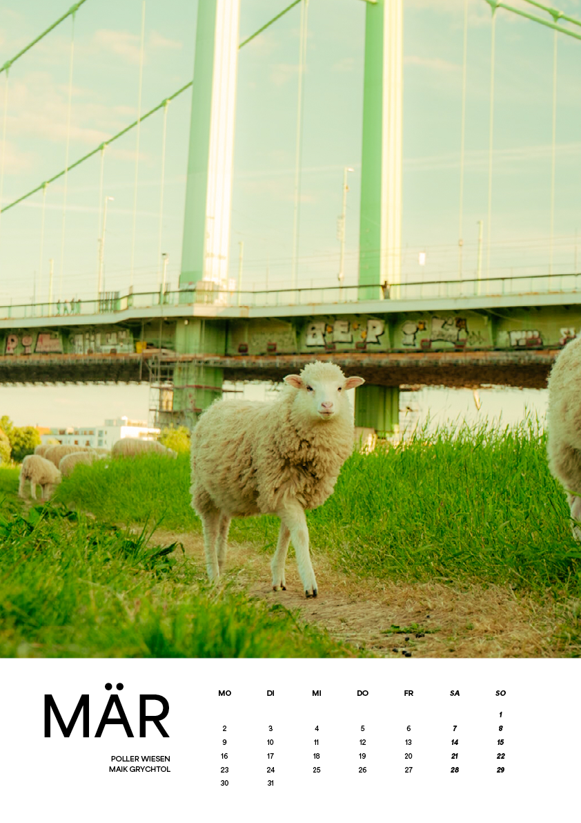 Kölsche Kalender 2026