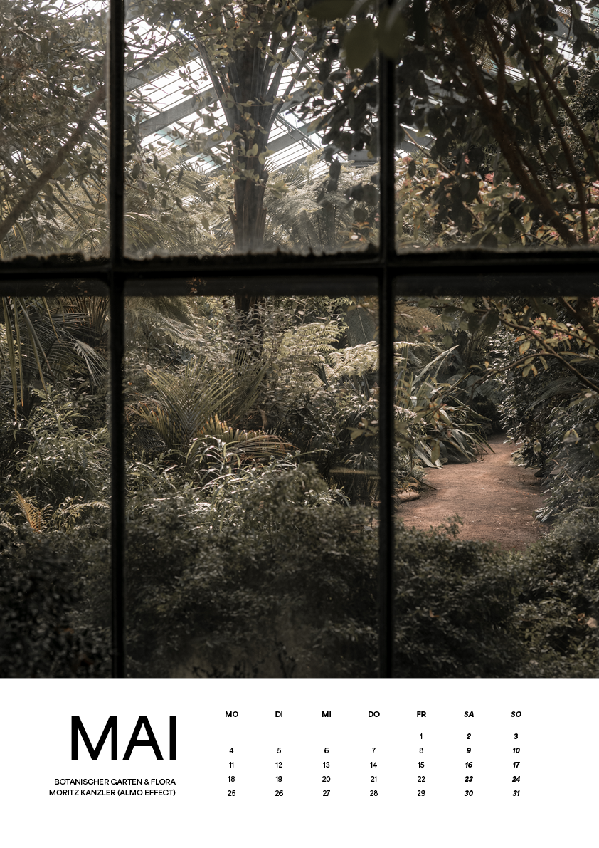 Kölsche Kalender 2026